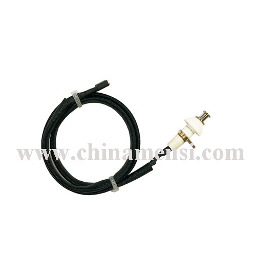 Gas Ignition Electrode with Wire